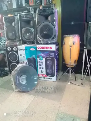 Amplified Speaker