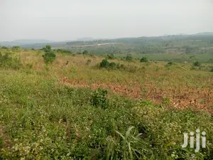 10 Acres of Land Near Kitalya Prison