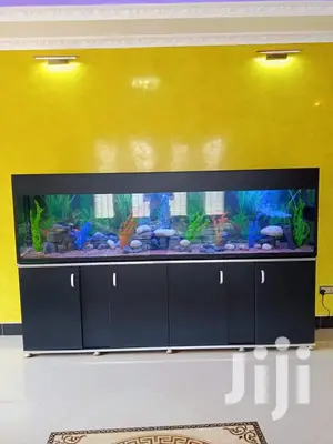 Beautiful Aquariums