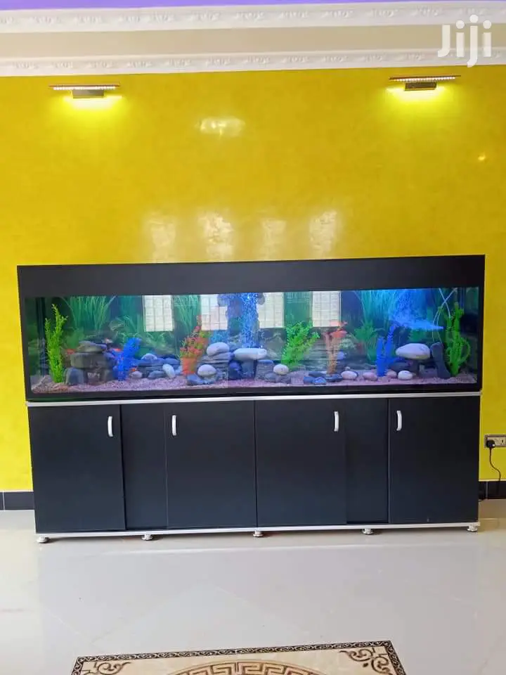 Beautiful Aquariums