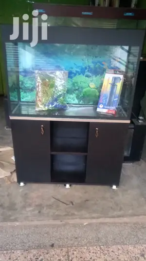 Best Aquarium Designs From Aqua 2000