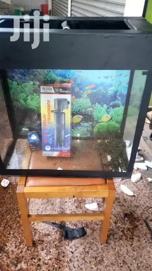 Beautiful Aquariums