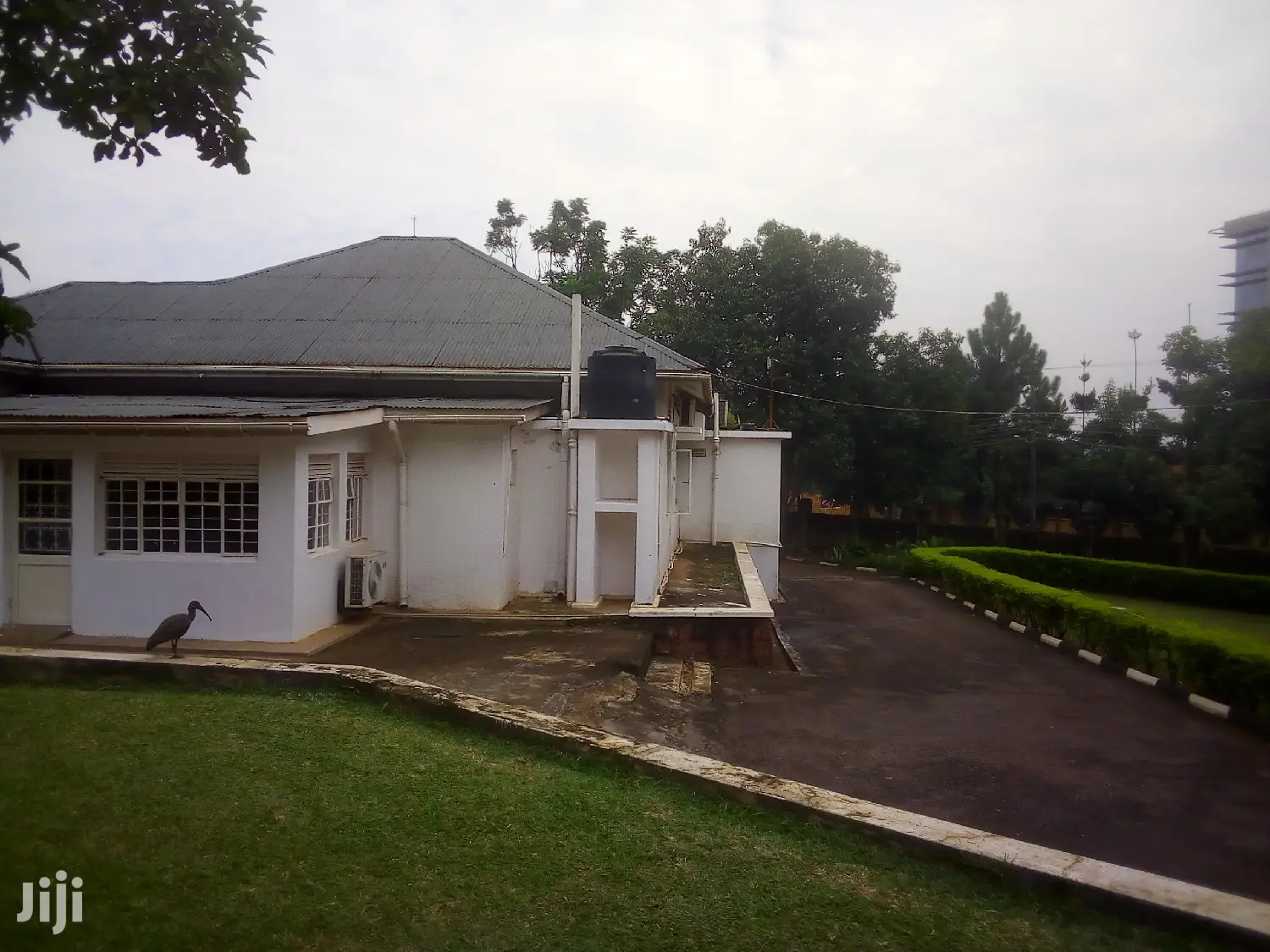 House For Rent