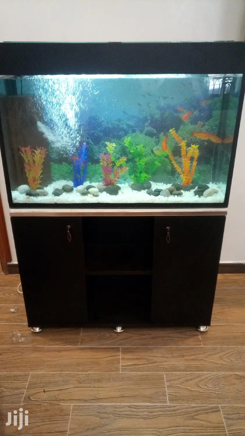 Beautiful Aquariums in All Designs
