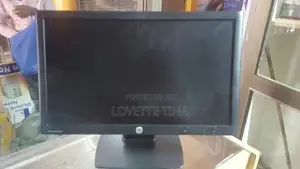 19 Flat Wide Monitor