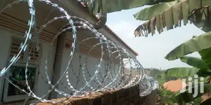 Barbed Wires