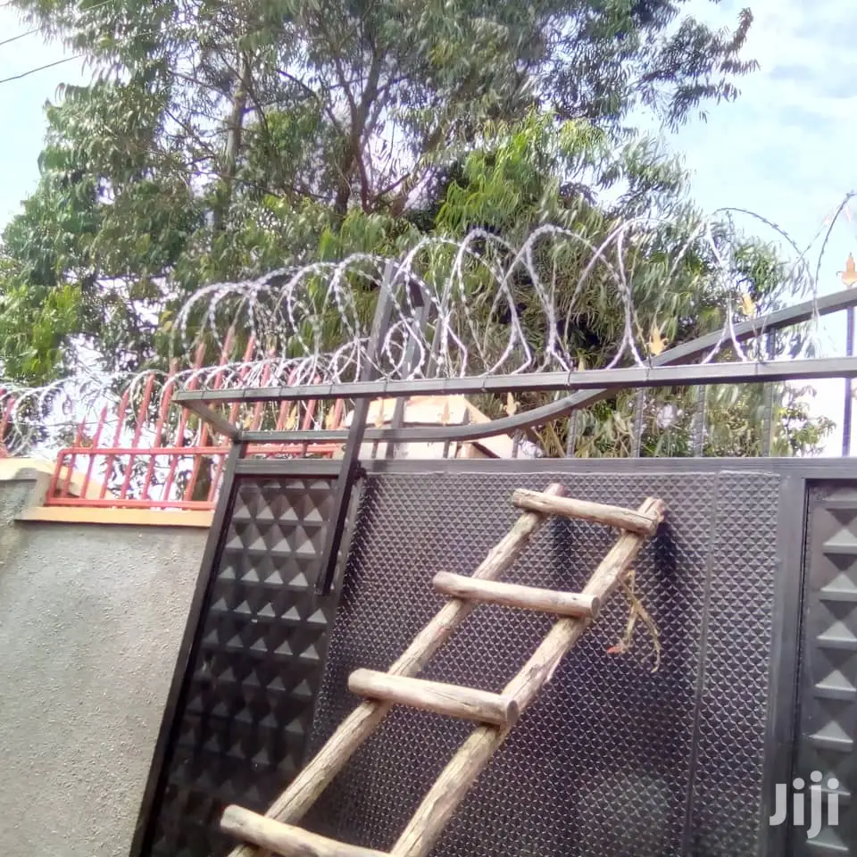 Barbed Wires
