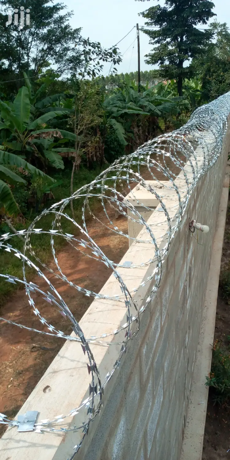 Barbed Wires