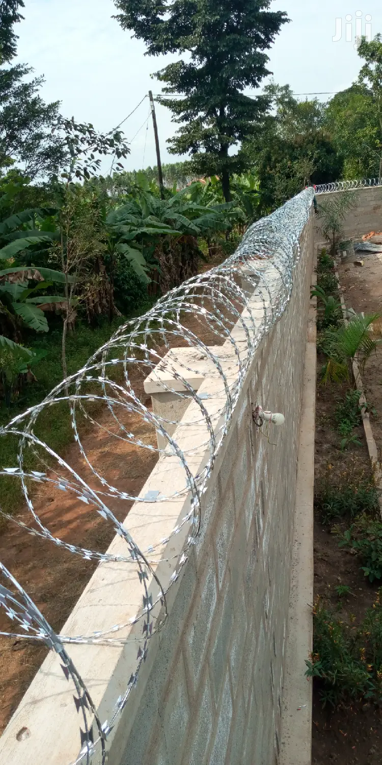 Barbed Wires