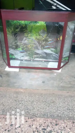 Aquarium