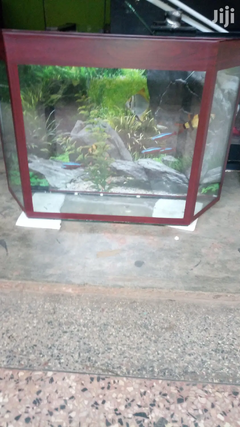 Aquarium