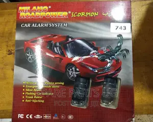 Car Alarm System