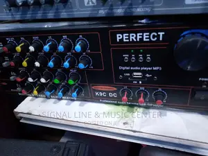 Perfect Amplifier
