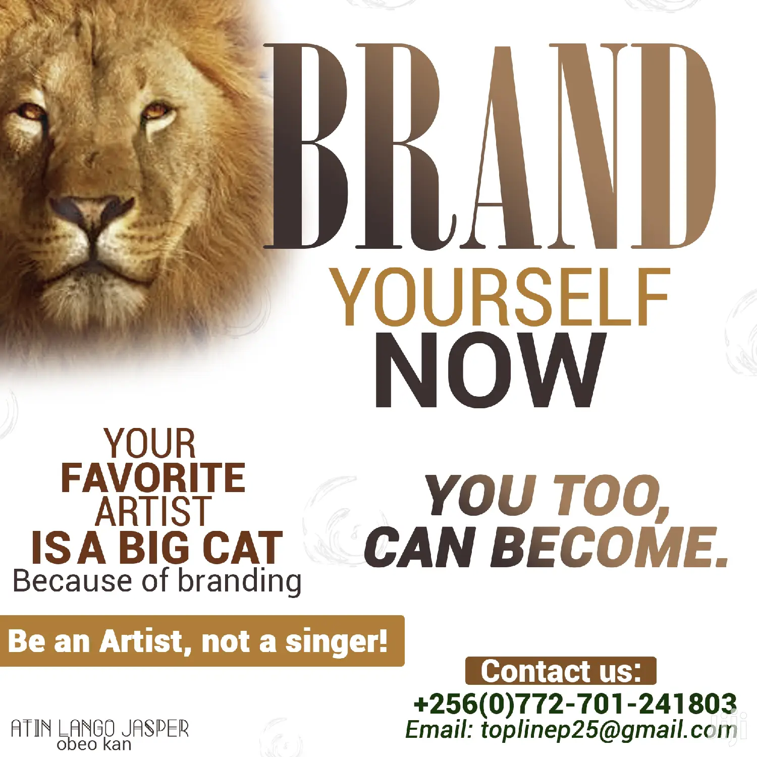 Motion and Still Graphics Designer