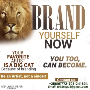 Motion and Still Graphics Designer