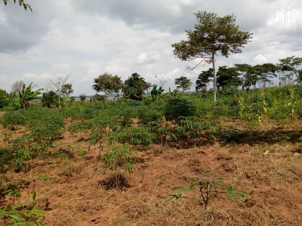 Archive Half Acre Land In Katogo For Sale in Kampala Land & Plots