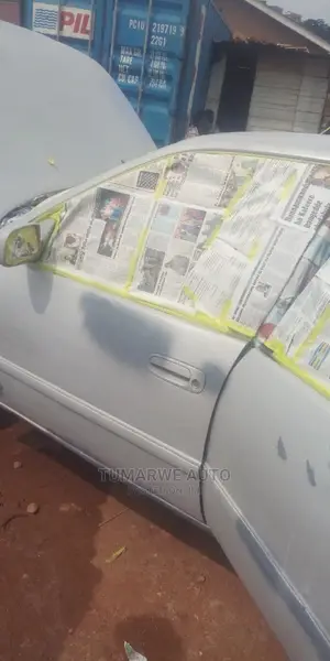 Auto Spray .