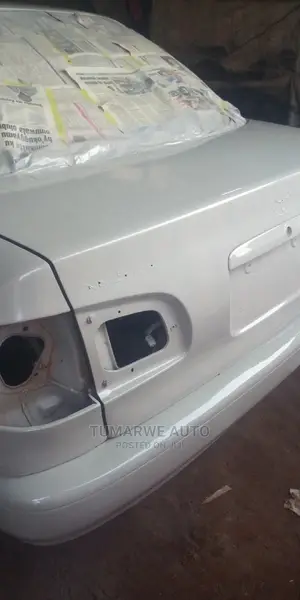 Auto Spray .