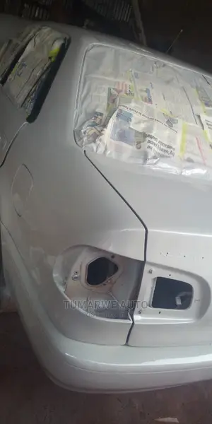Auto Spray .