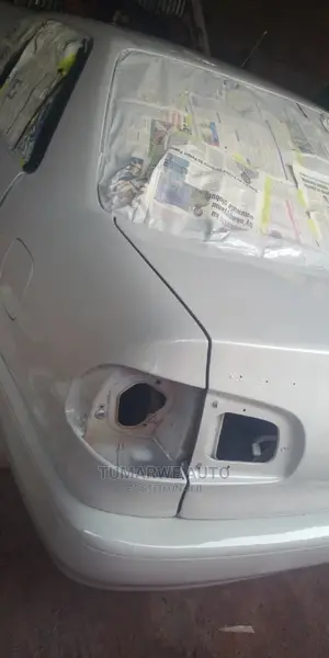 Auto Spray .