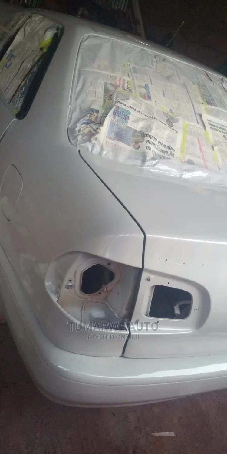 Auto Spray .
