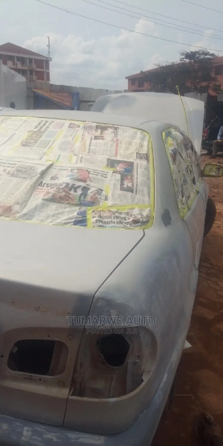 Auto Spray .