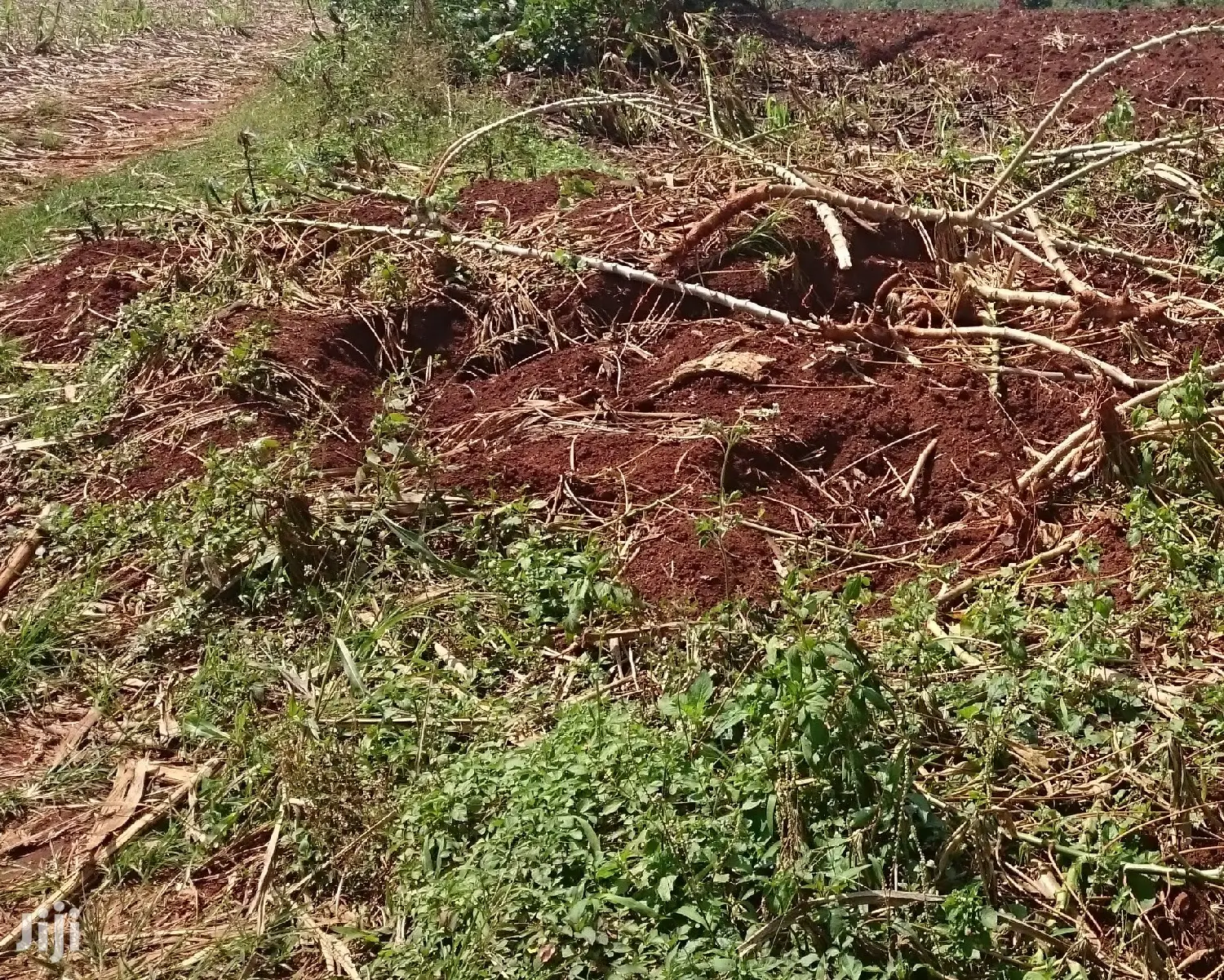 FREE HOLD Titled Land 5 Square Miles