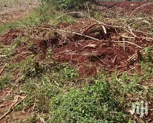 FREE HOLD Titled Land 5 Square Miles