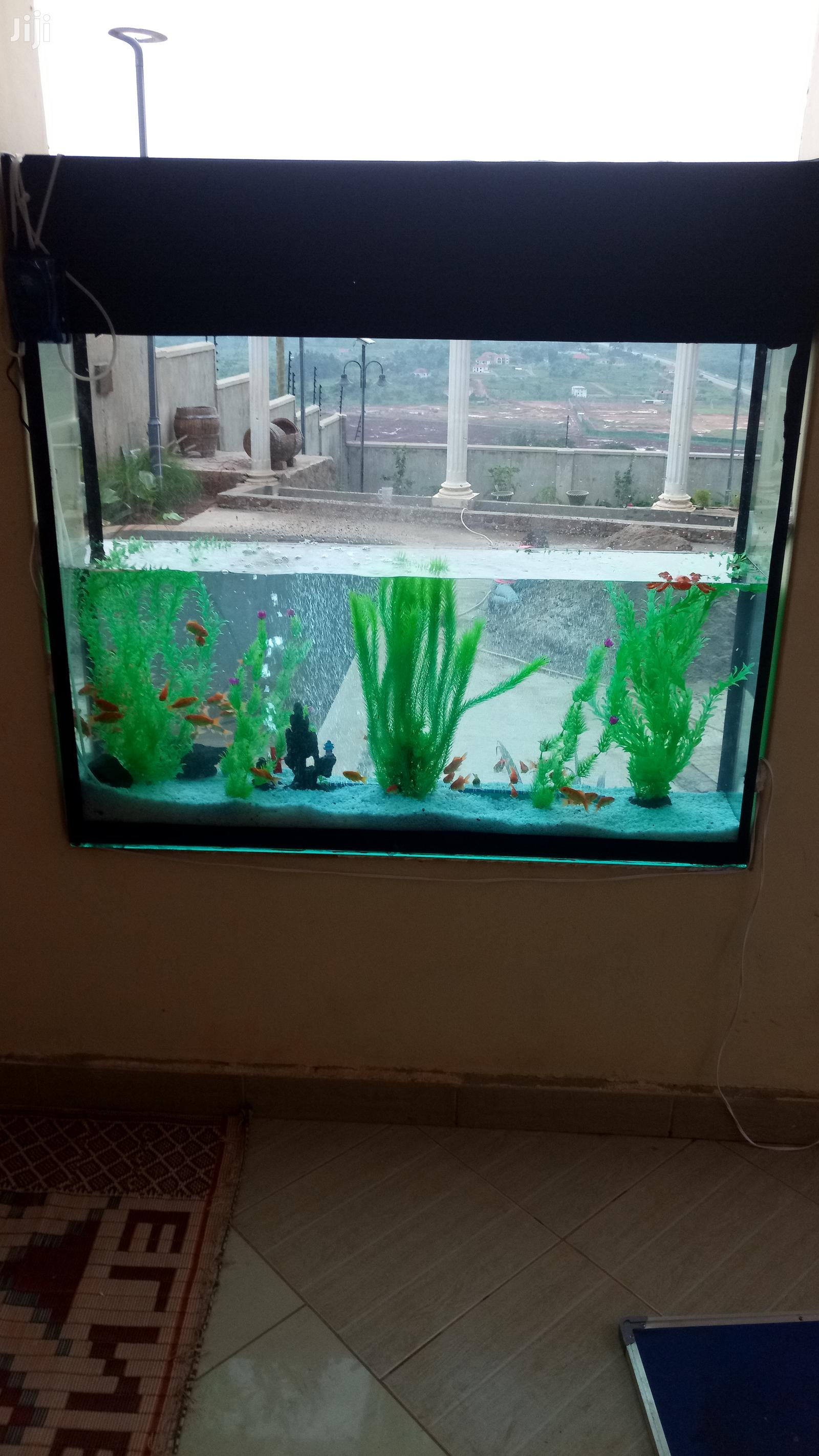 Aquarium at Affordable Rates