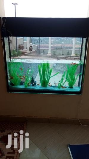 Aquarium at Affordable Rates