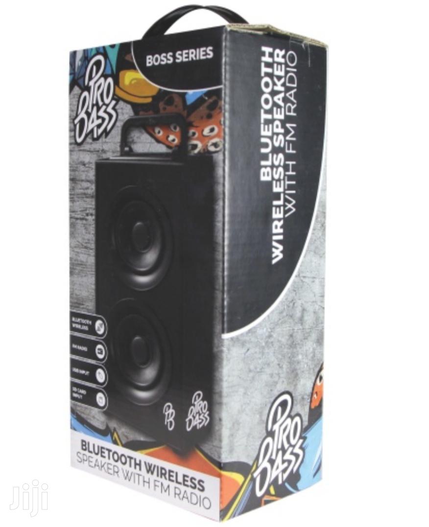 pro bass speaker