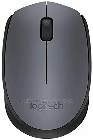 Logitech M170 Mouse