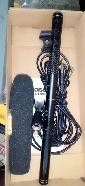 Panasonic Boom Microphone/Condenser Mic