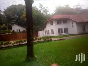 Diplomatic Mansion