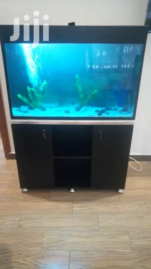 Beautiful Fish From Aqua 2000