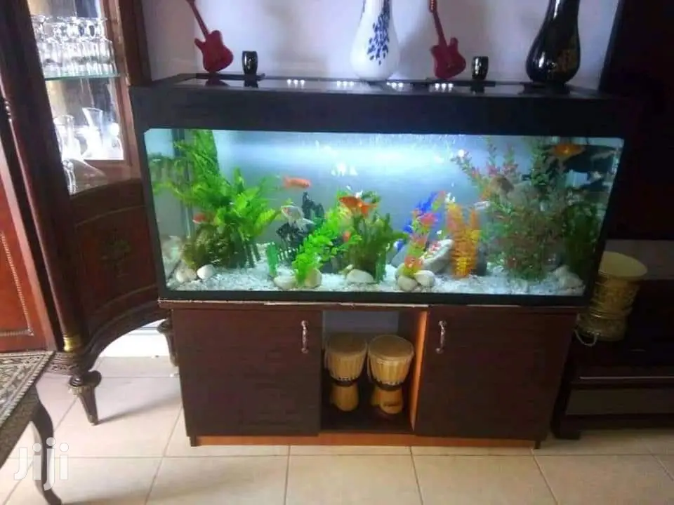 Beautiful Aquariums