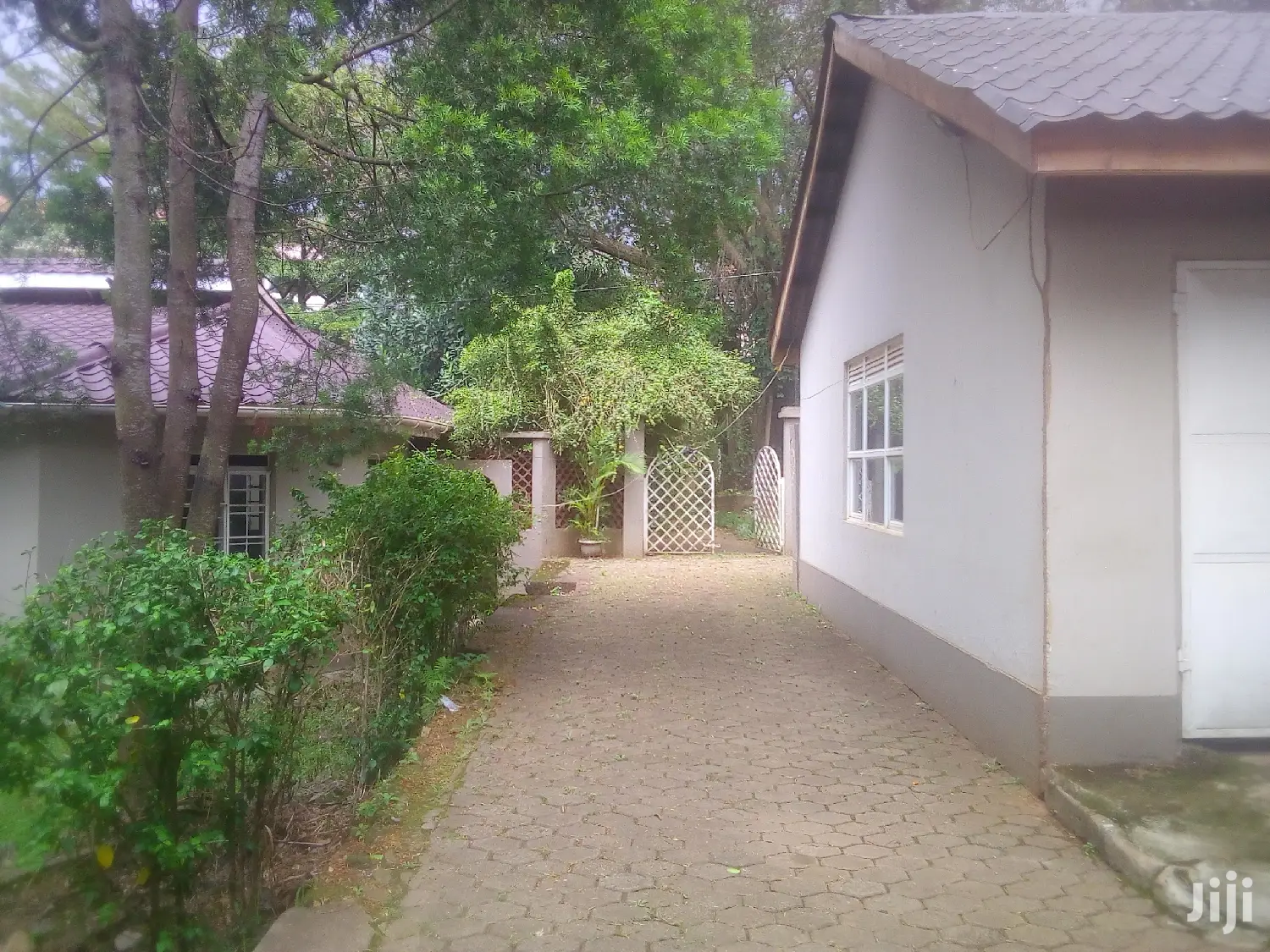 Green House