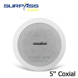Ceiling Speaker