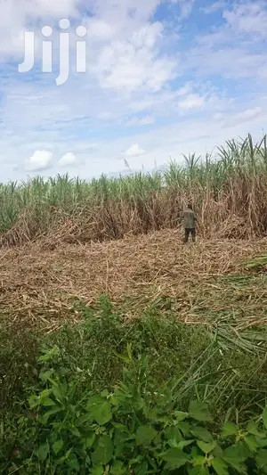400 ACRES of Land in JINJA