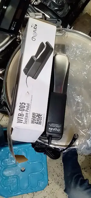 Sustain Pedal