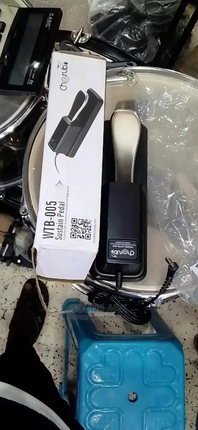 Sustain Pedal