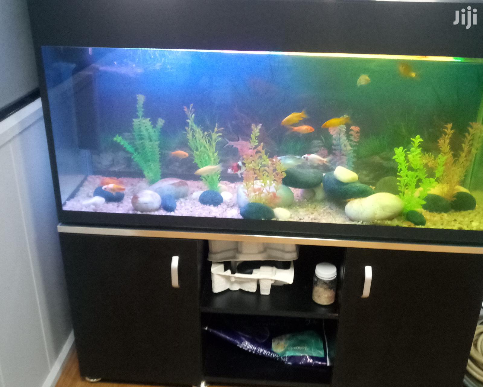 Aquarium On A Wooden Stand
