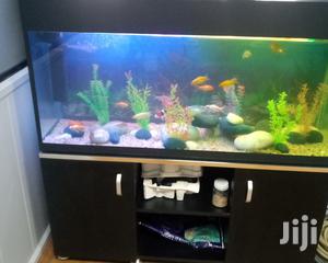 Aquarium On A Wooden Stand