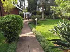 Nice House For Rent In Bugolobi With A Pool