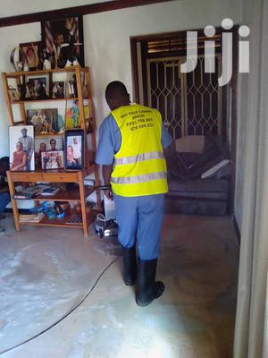 Expert Professional Cleaning Services
