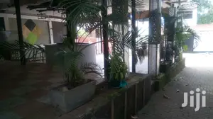 Decorative Villa