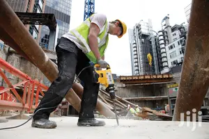 Dewalt Sds-max Combination Hammer