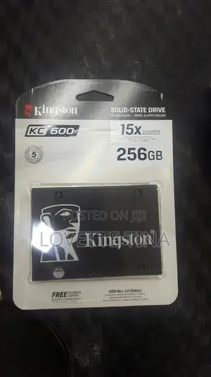 256GB Solid State Drive