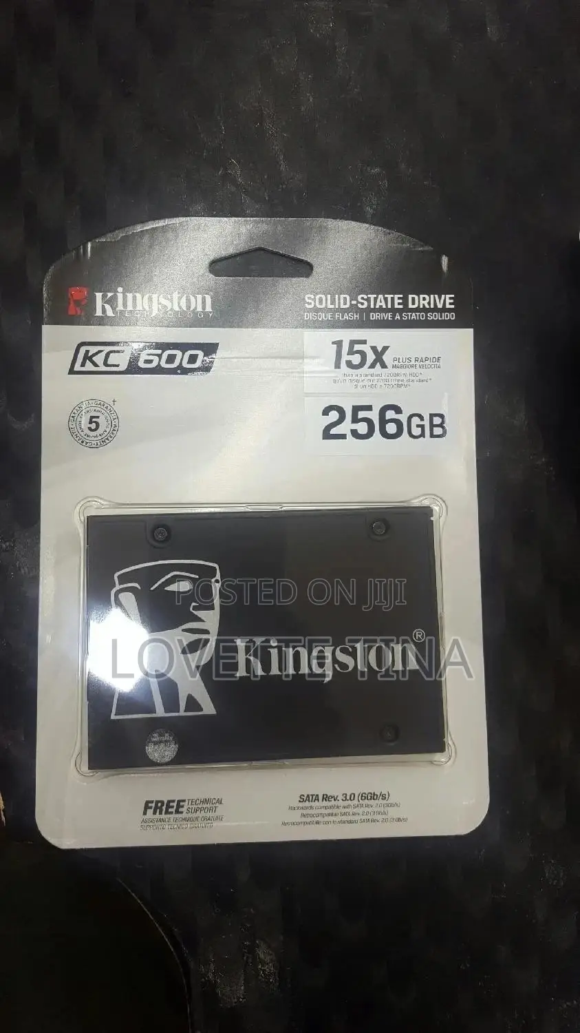 256GB Solid State Drive