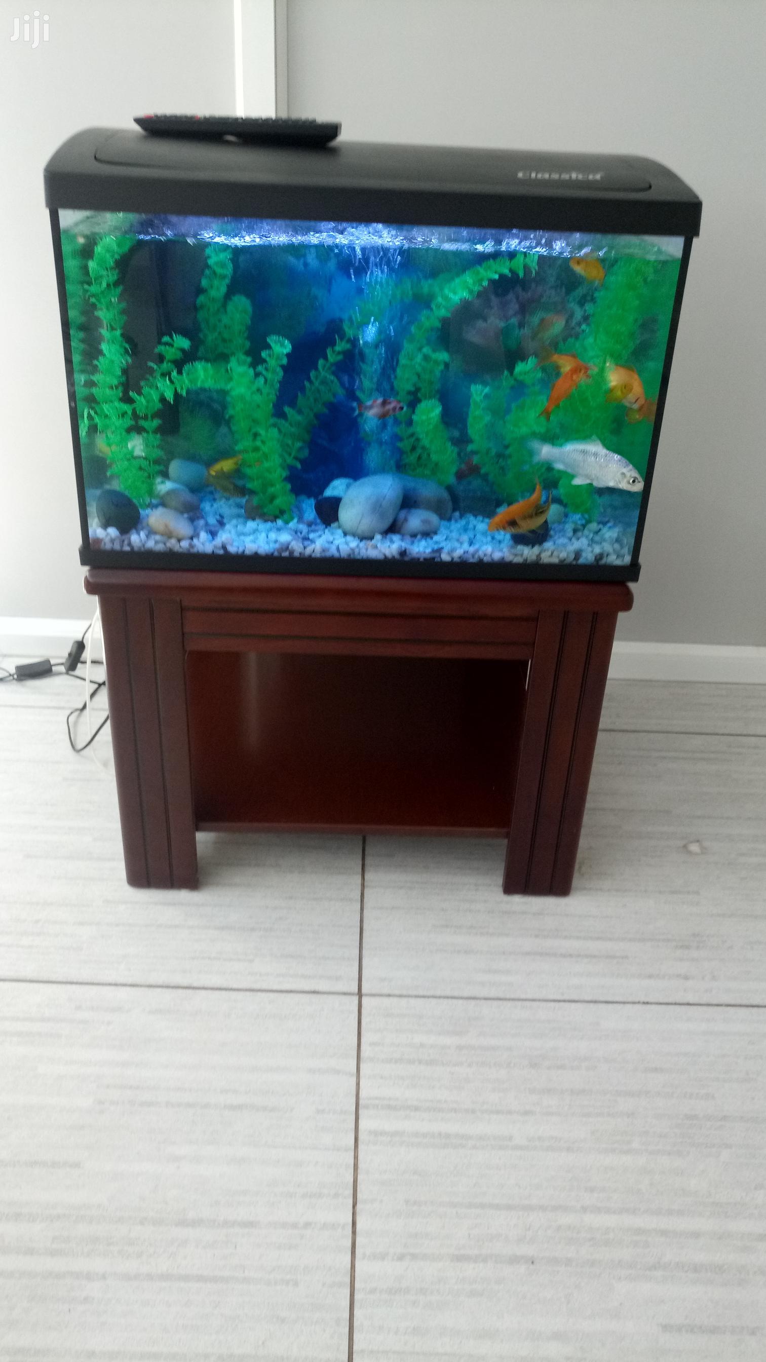 Aquarium On Wooden Stand